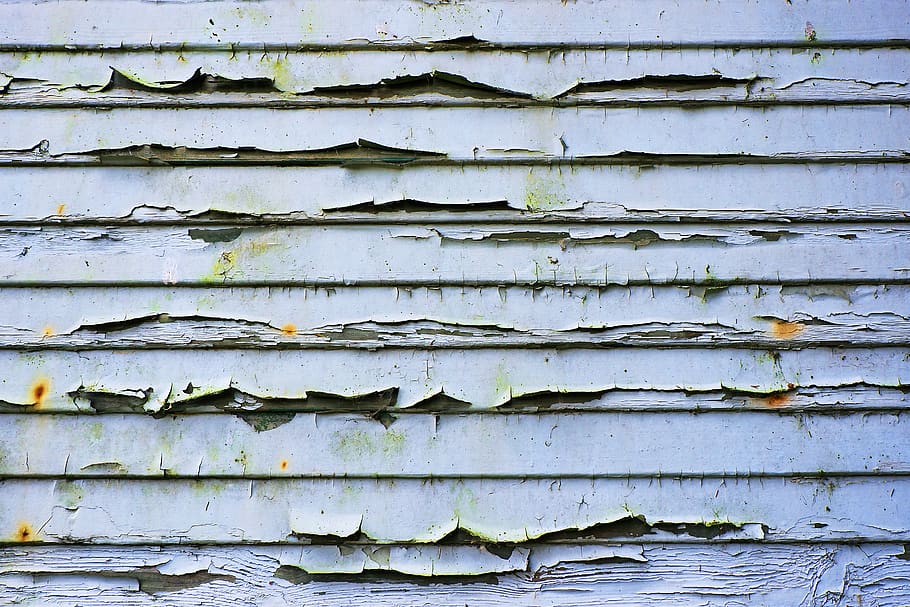 gray wall, wood, slate, plant, housing, building, tree, house HD wallpaper