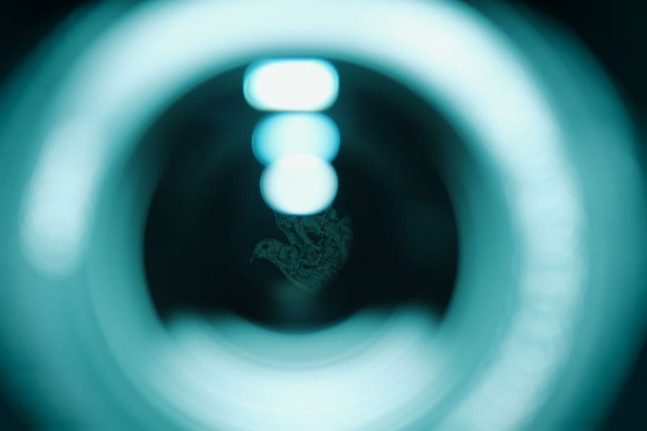 bokeh, lights, bird, lens, fly, flying, zoom, darkness, music HD wallpaper