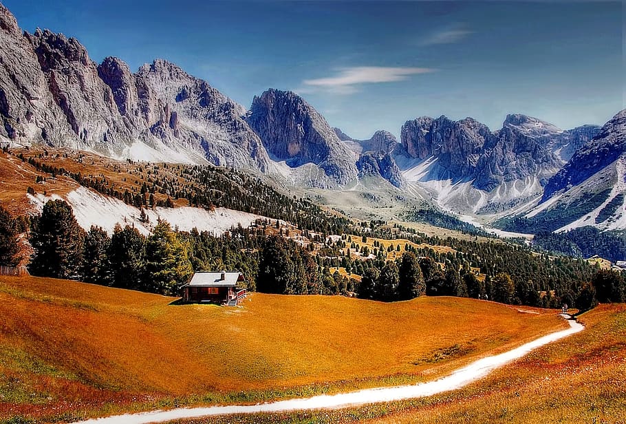 Pine Trees Near Mountains, clouds, daylight, high, landscape HD wallpaper