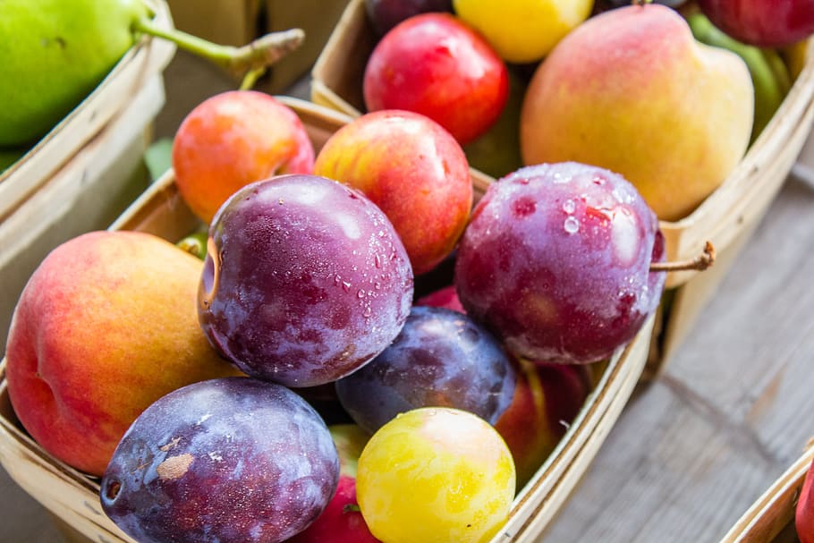 plums, peaches, nectarines, basket, fruit, farmers market, grand rapids HD wallpaper