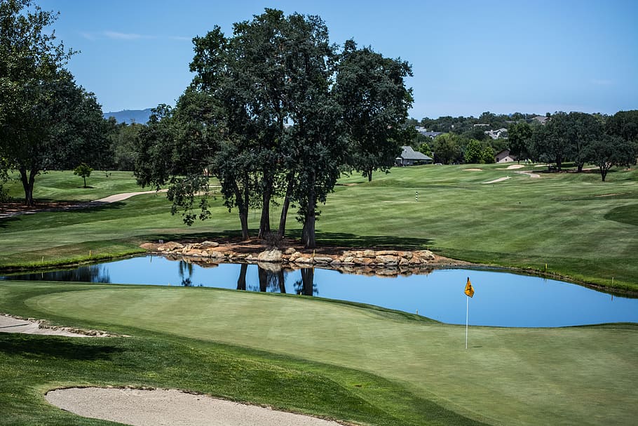 green leaf tree near pond, grassland, field, outdoors, golf course HD wallpaper