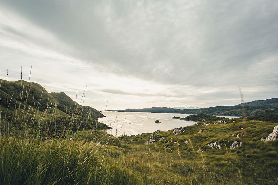 green grass, sky, water, beauty in nature, scenics - nature, plant HD wallpaper