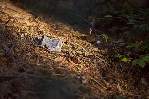 pollution, box, garbage, forest, nature, environment, disposal HD wallpaper