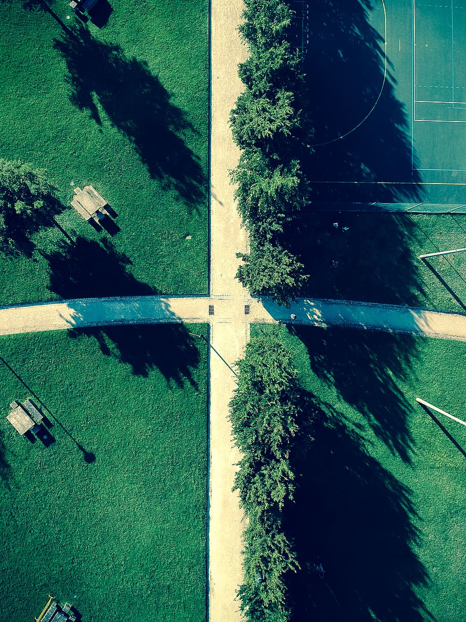 trees, park, dji, drone, drone picture, drone capture, spark HD wallpaper