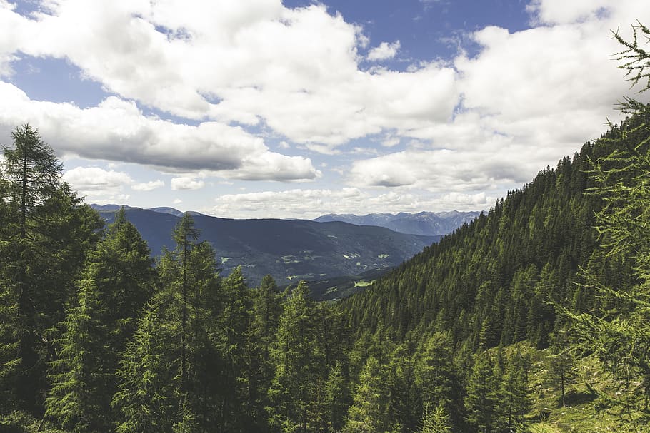 Pine Tress on the Mountain Landscape Photo during Daytime, clouds HD wallpaper