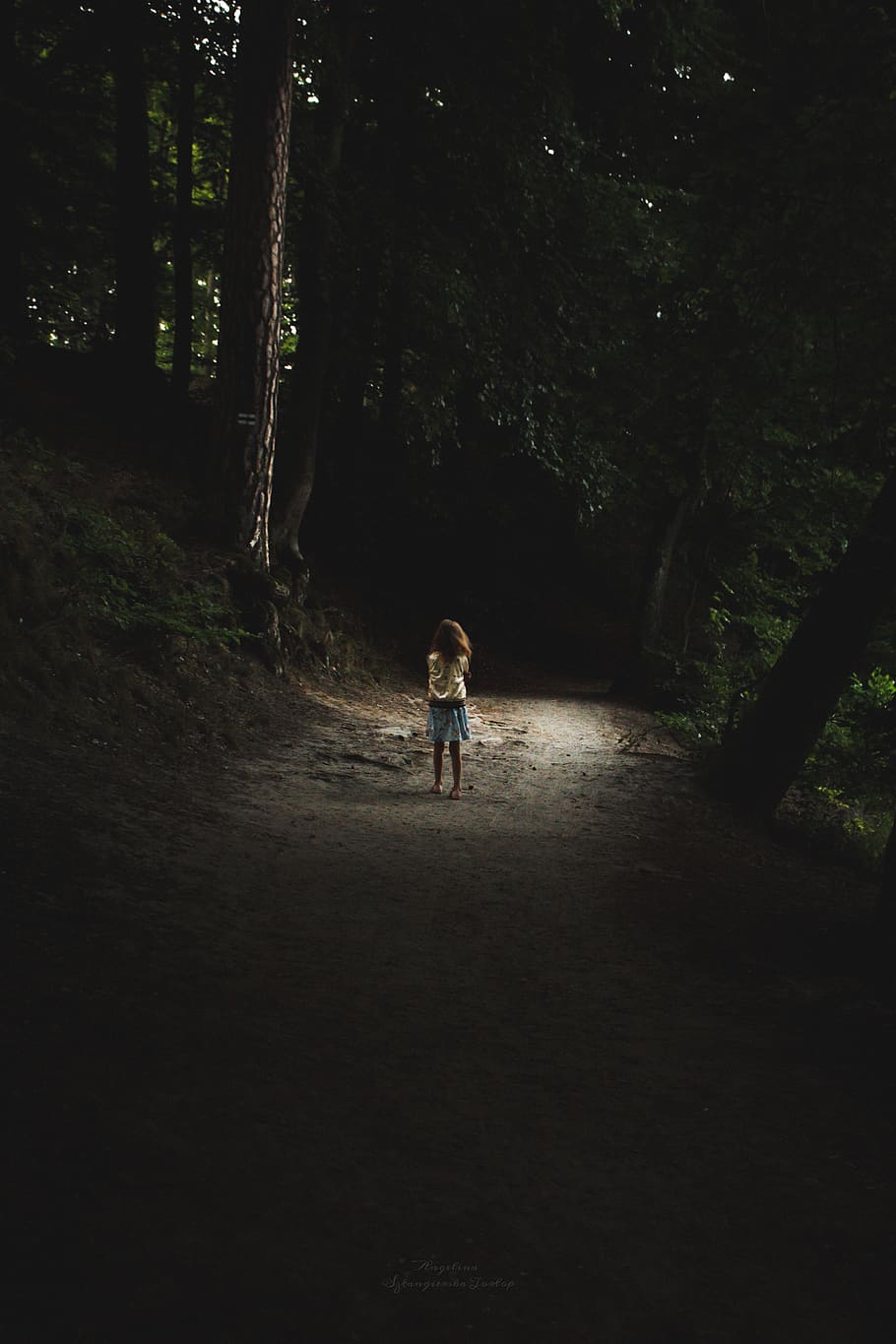 forest, child, alone, dark, gloomy, scary, path, loneliness