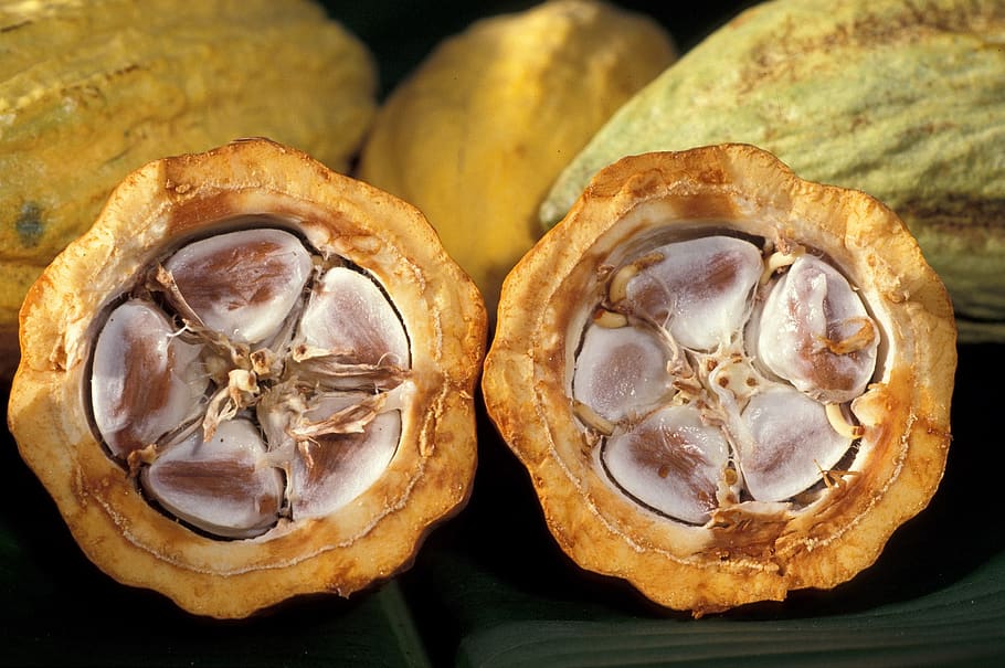 cacao pod, cocoa beans, food, chocolate, nature, ingredient, HD wallpaper
