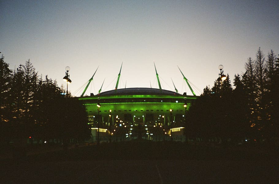 Green Stadium in Between Trees, architecture, building, city HD wallpaper