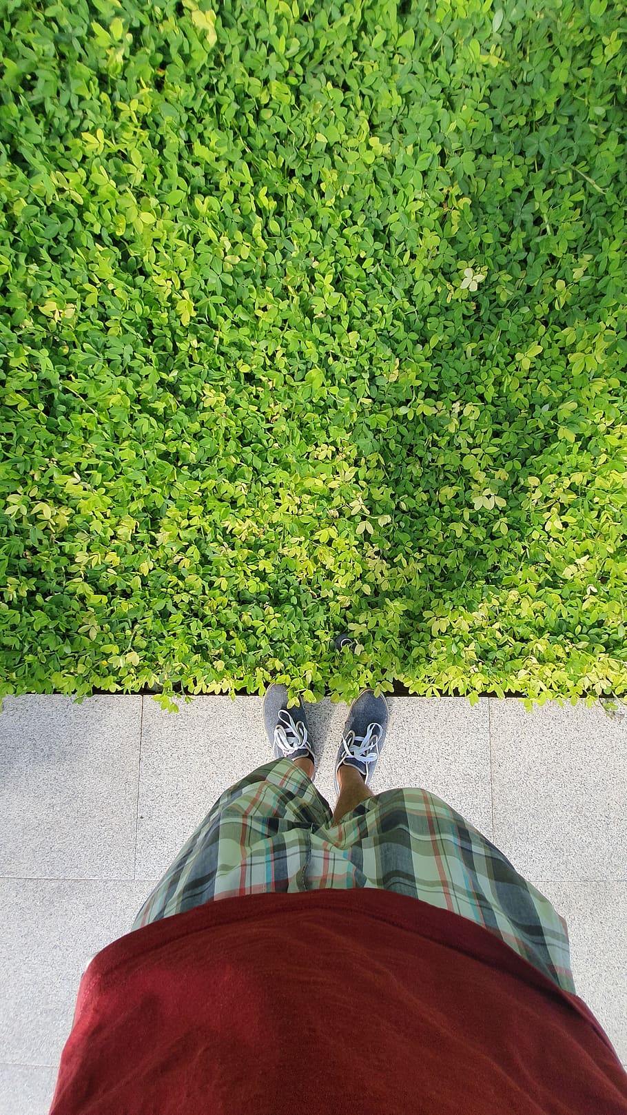 Person Wearing Red Top and White and Gray Plaid Short Standing in Front of Grass Field HD wallpaper