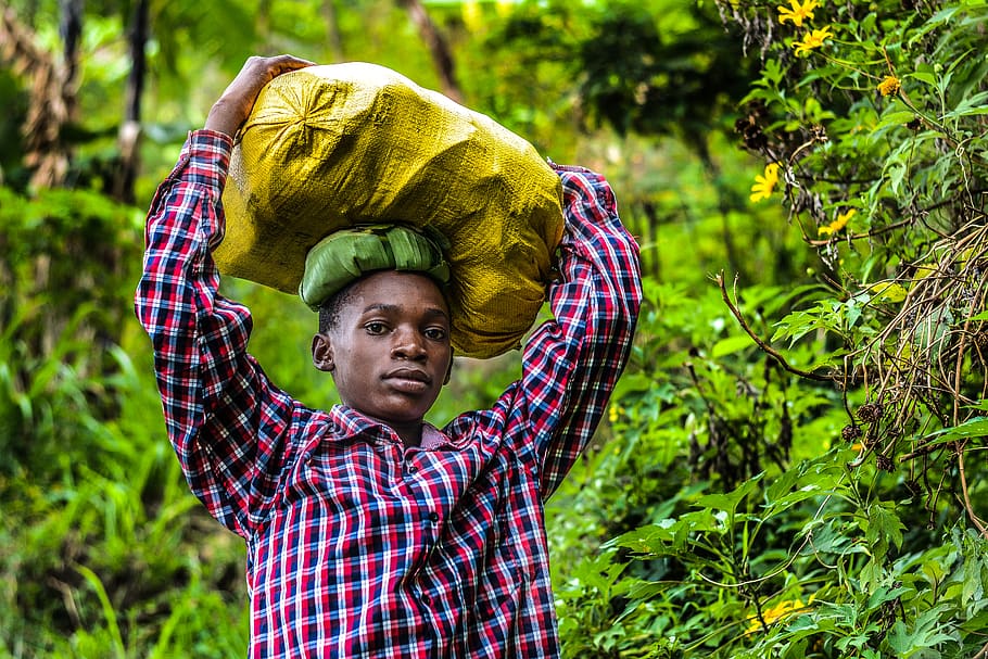 Person Wearing Plaid Shirt Carrying Sack Near Plants, boy, daylight HD wallpaper
