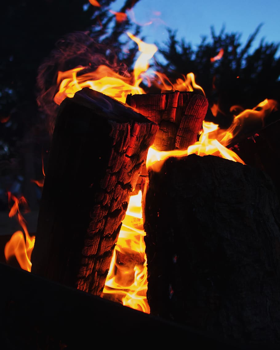 burning wood s, fire, flame, bonfire, pescadero, usa, camping HD wallpaper