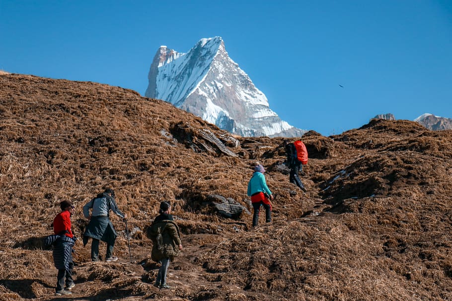 people walking up the hill during day, person, human, nature, HD wallpaper