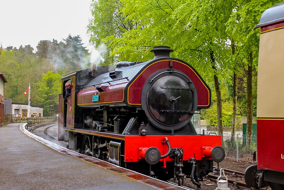 steam train, old train, locomotive, railway, transport, vintage HD wallpaper