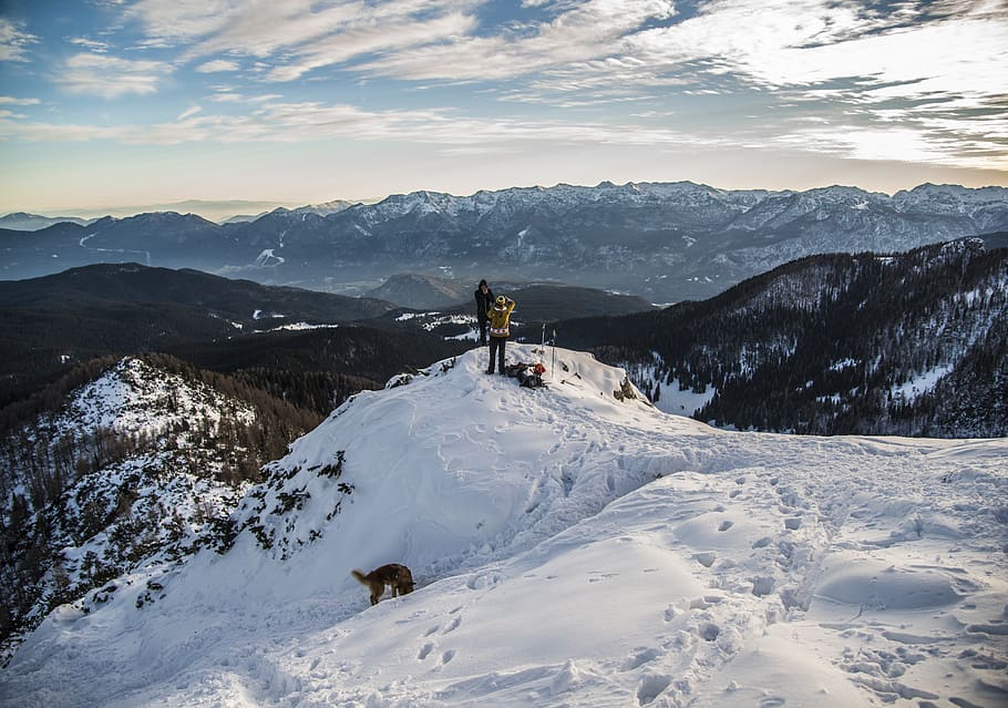 outdoor, tree, mountain, day, sport, range, peak, rock, park HD wallpaper