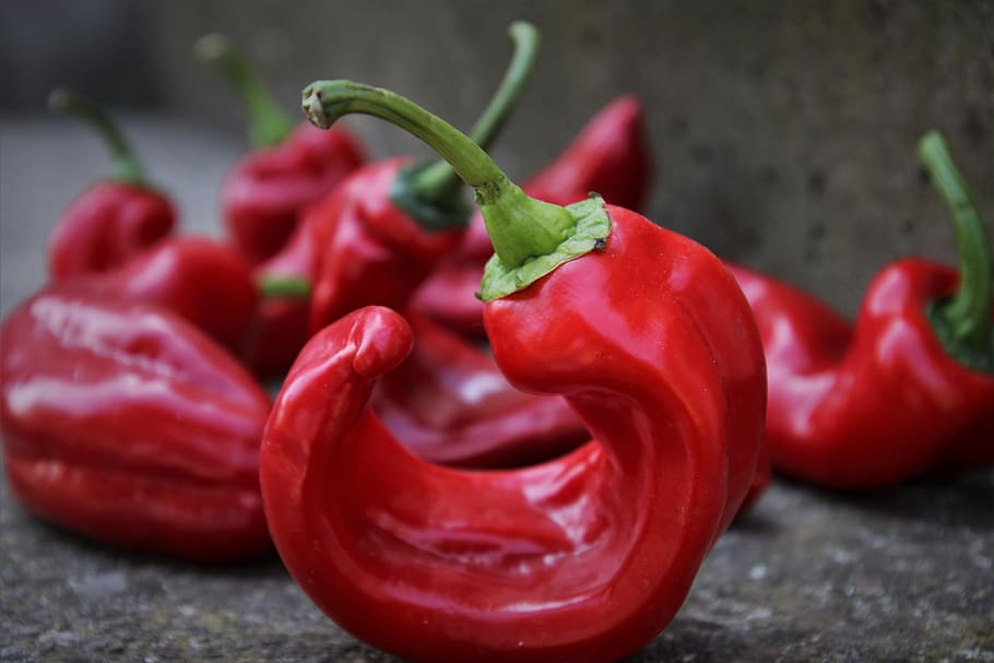 red pepper, vegetables, vitamins, bio, eating, fresh, nutrition HD wallpaper