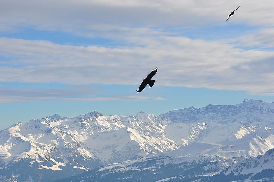 Snow flying. Шесть галочек горы. Галка на горе. The Peak of Eagle Quba.