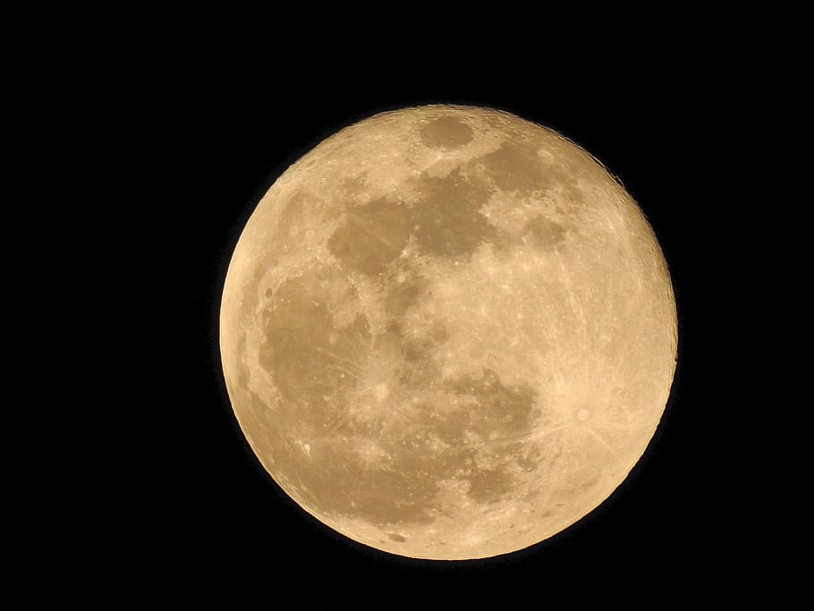 moon, full moon, at night, moonlight, luna, astronomy, night sky HD wallpaper