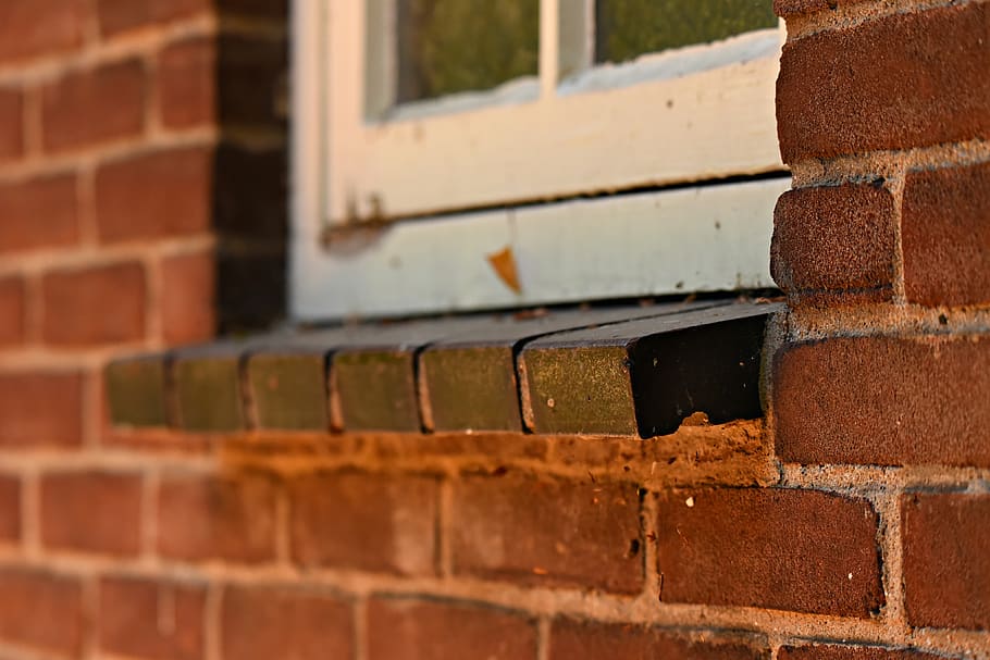 windowsill, ledge, building, brick wall, exterior, facade, outdoors HD wallpaper