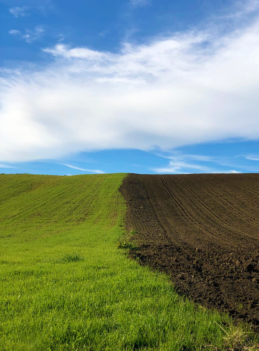 green and brown fields, nature, outdoors, grassland, tuscany HD wallpaper