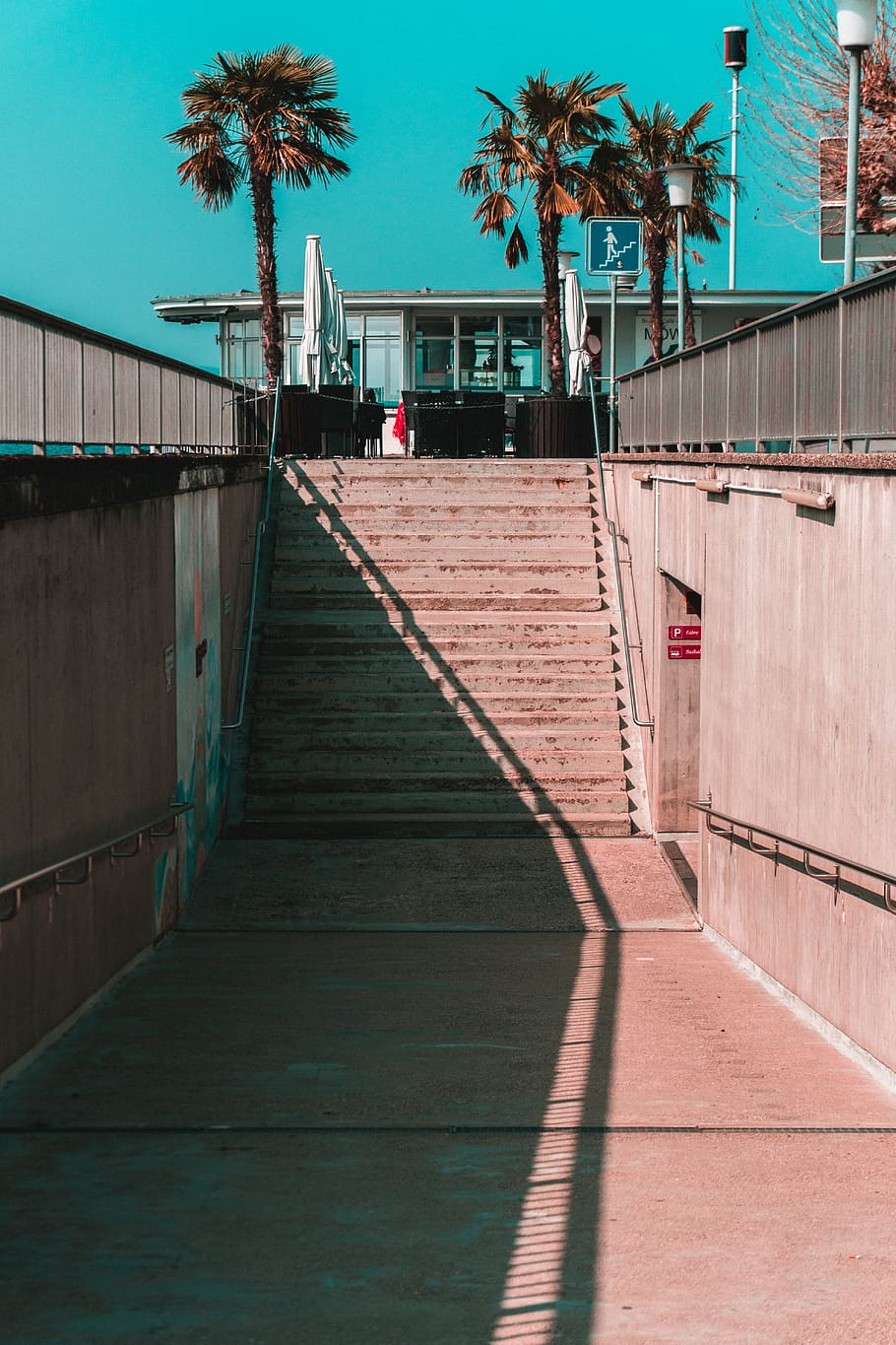 stair through palm trees, banister, handrail, railing, person HD wallpaper