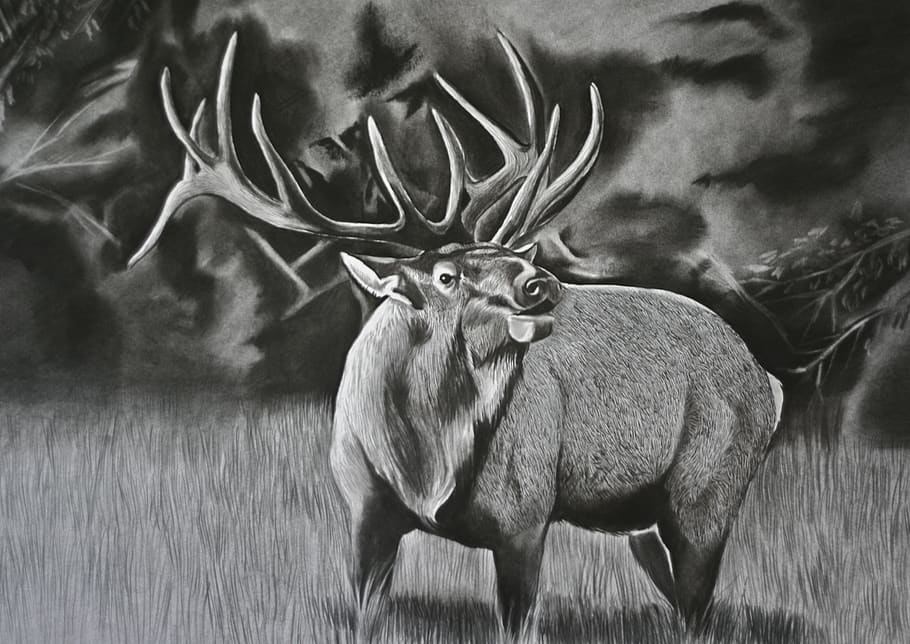 Drawing  Illustration Charcoal Yosemite National Park Painting Original Art  Charcoal California Landscape Painting Nature Sketch Black And White Charcoal  Drawing Art  Collectibles etnacompe