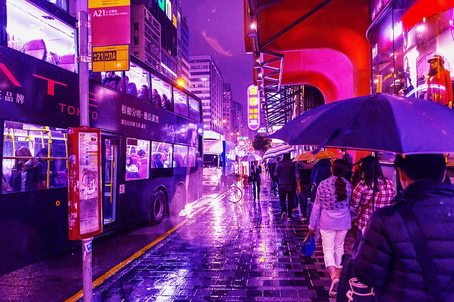 hong kong, neon, future, modern, city, hongkong, rain, rainy