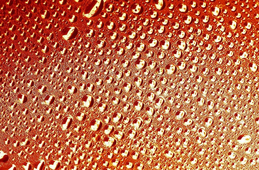 background, clean, clear, drop, droplet, environment, fizz HD wallpaper