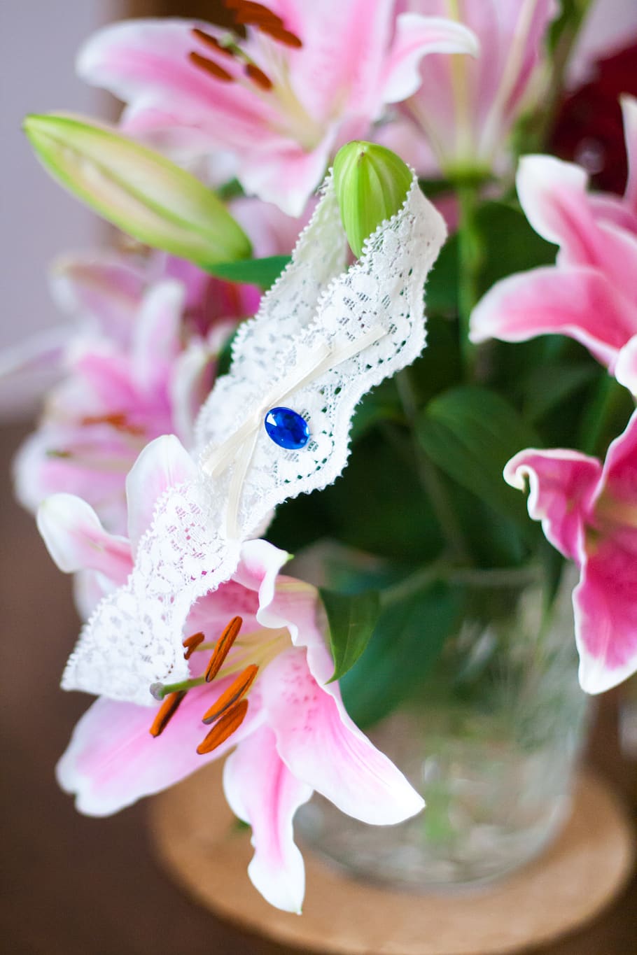 Garter on flowers, flowering plant, pink color, vulnerability HD wallpaper