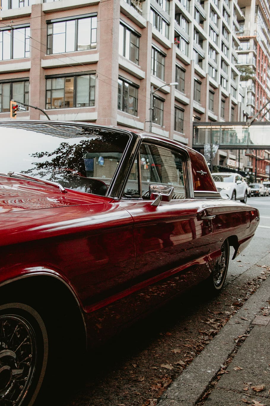 red coupe, car, automobile, transportation, vehicle, windshield HD wallpaper
