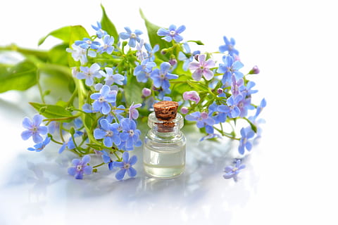 Purple Flowers Beside Clear Glass Bottle, aromatherapy, bloom HD wallpaper