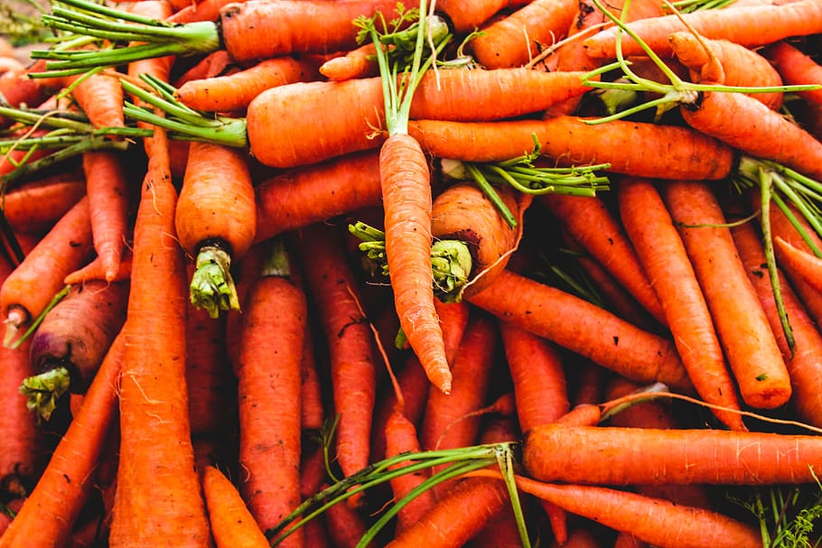 morocco, tamraght, carrot, root vegetable, food, food and drink HD wallpaper