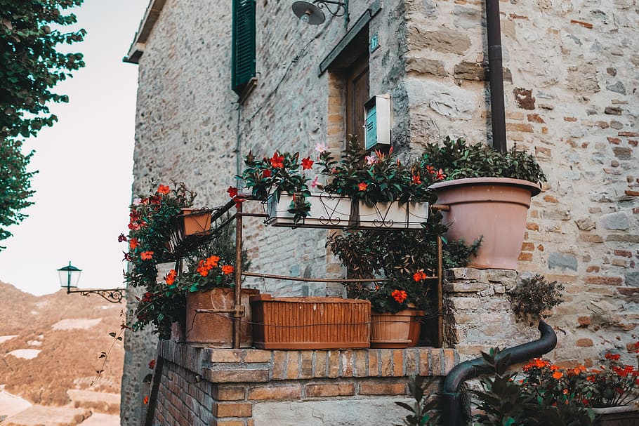building exterior, architecture, built structure, plant, nature HD wallpaper