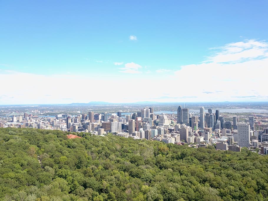 canada, montreal, view, drone, summer, sky, city, plant, architecture HD wallpaper