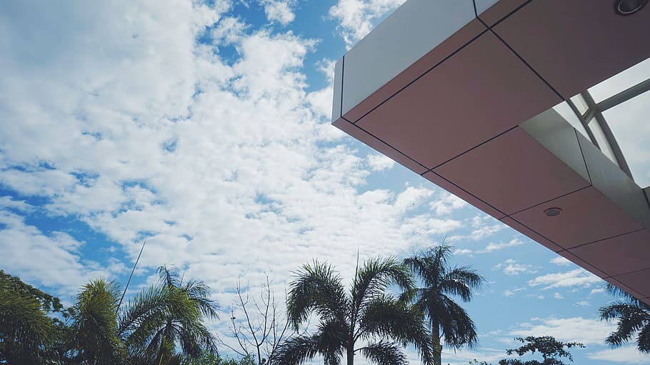 sky, cloud, tree, architecture, palm trees, palmtree, blue HD wallpaper