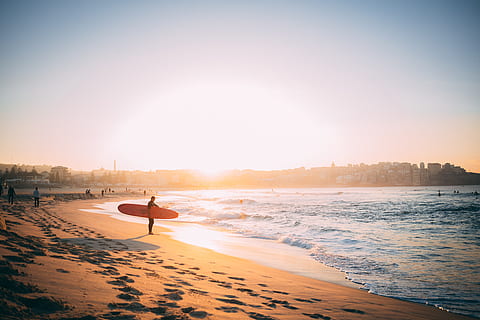 person carrying surfboard at the beach, longboard, wave, sea HD wallpaper