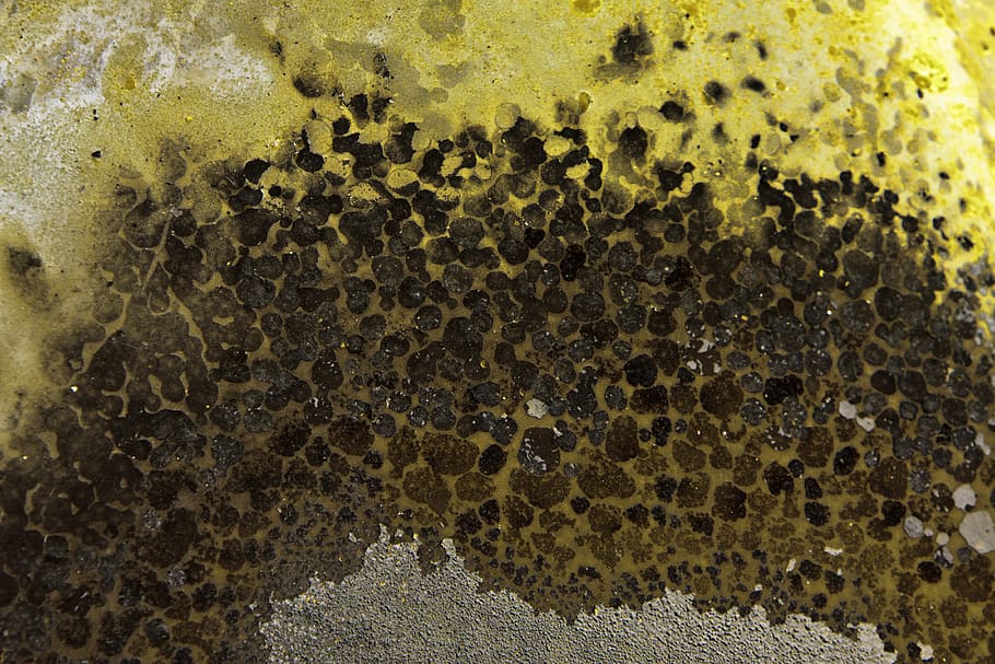 colour, texture, pattern, backgrounds, textured, close-up, full frame HD wallpaper