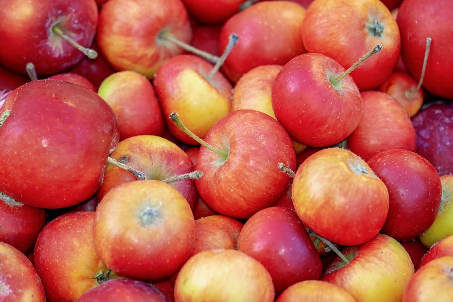 apple, vitamins, fruit, eat, healthy, advent, christmas time HD wallpaper