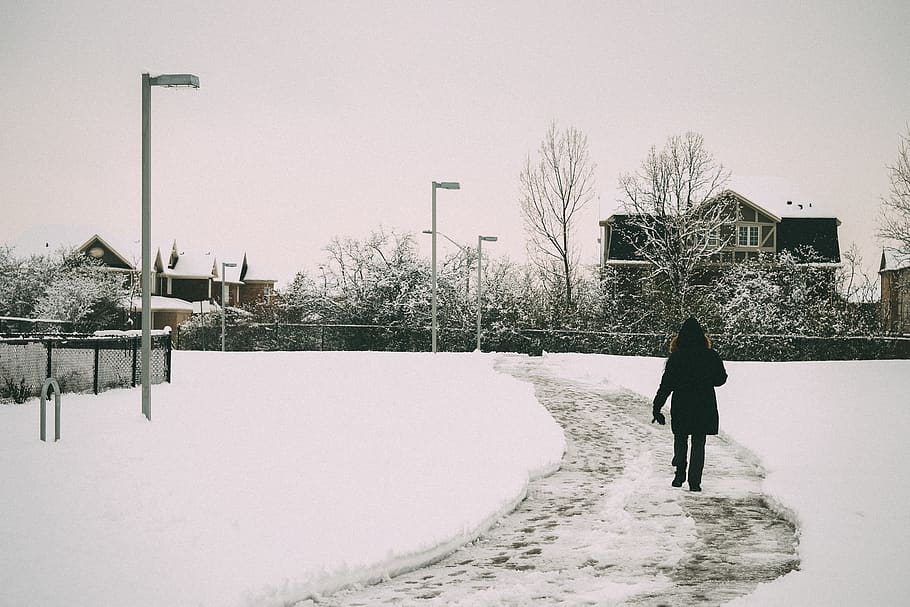 winter, snow, one person, rear view, cold temperature, full length HD wallpaper