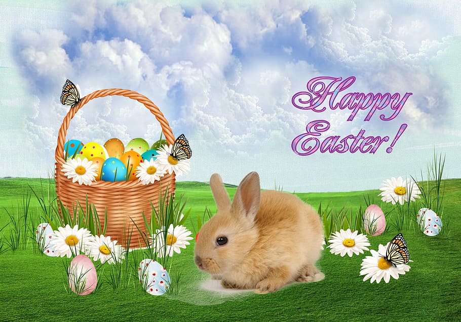 easter, rabbit, animal, celebration, flower, rabbit - animal HD wallpaper