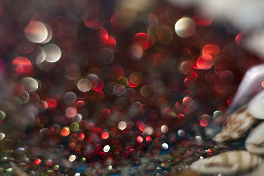macro, close, insect, leaves, beautiful, garden, red, sim, glow HD wallpaper