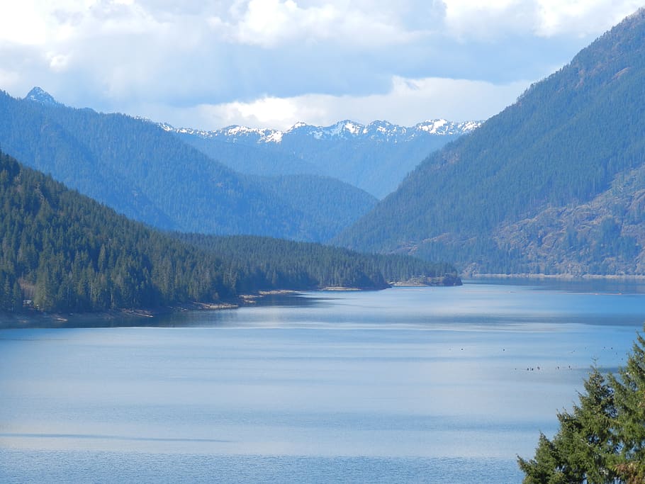 nature, water, outdoors, tree, plant, abies, fir, lake cushman HD wallpaper