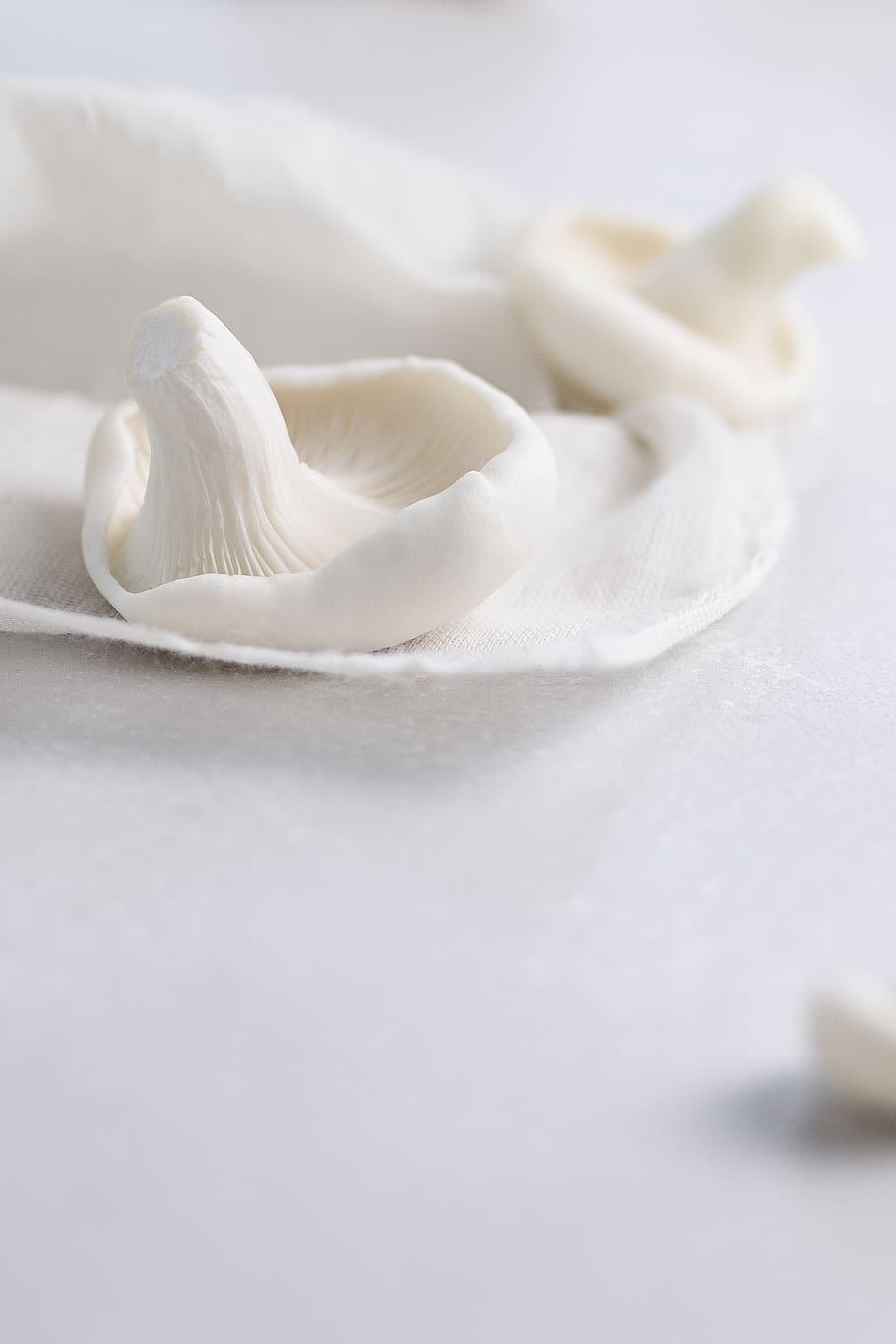white mushroom, food, white color, food and drink, no people HD wallpaper