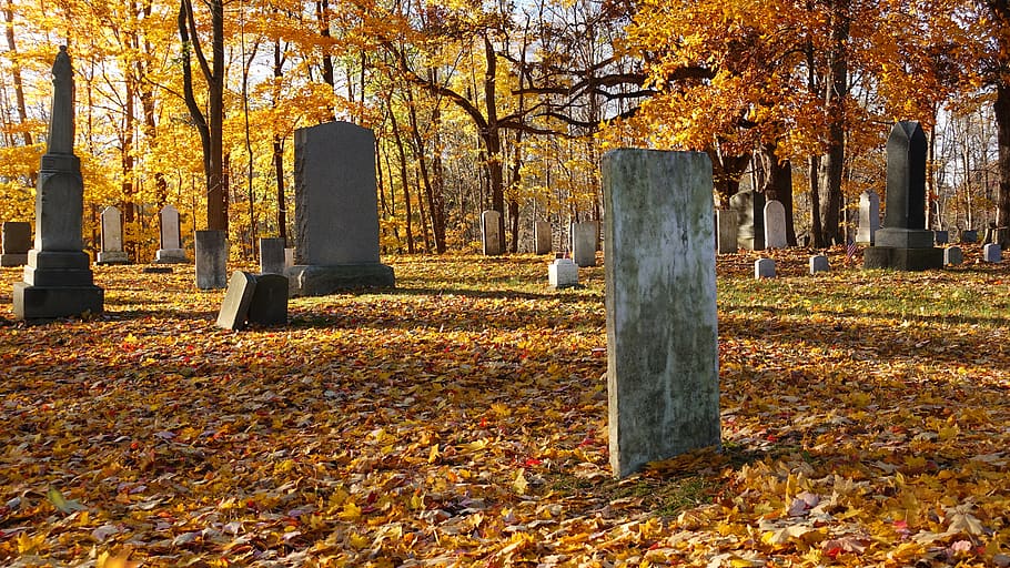 graveyard, tombstones, headstones, fall, trees, grass, autumn, HD wallpaper