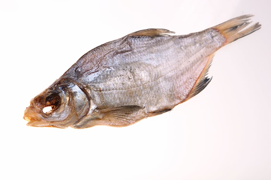 fish, closeup, isolated, meal, nobody, delicious, white, snack HD wallpaper
