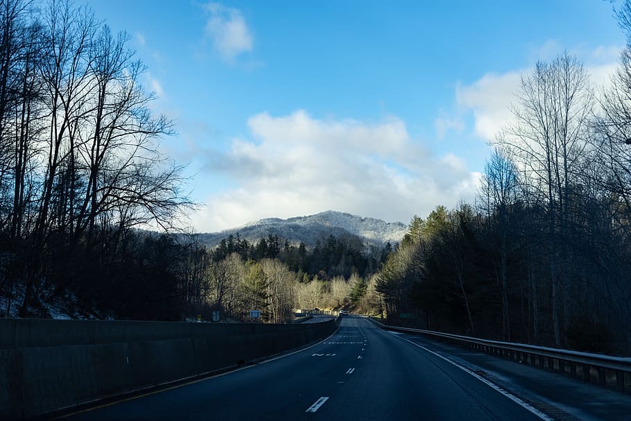 road, highway, asphalt, tarmac, plant, smokey mountains, north carolina, HD wallpaper