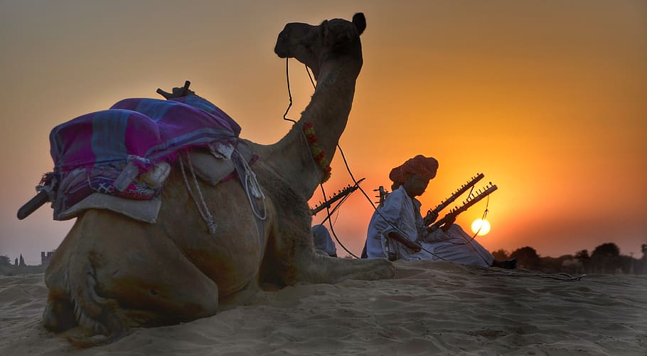 Sunset during desert safari in Jaisalmer