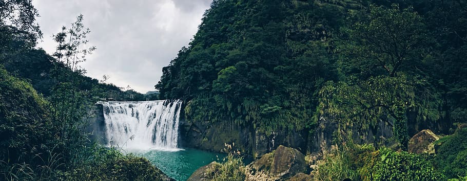 taiwan, pingxi district, trees, forest, pool, water, waterfall HD wallpaper