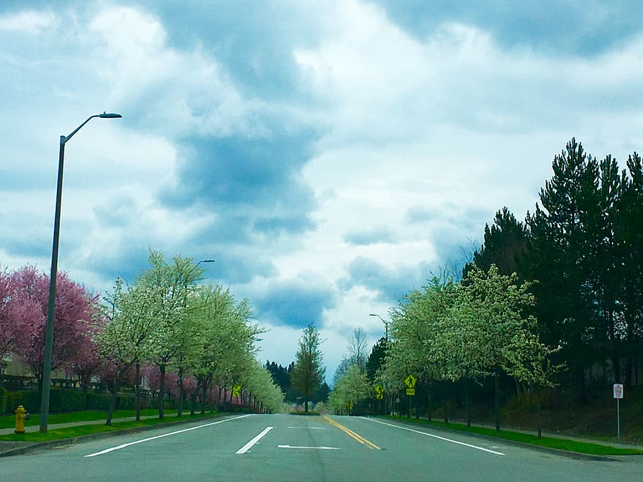 spring, street, clouds, urban, suburbia, lightpost, firehidrant HD wallpaper