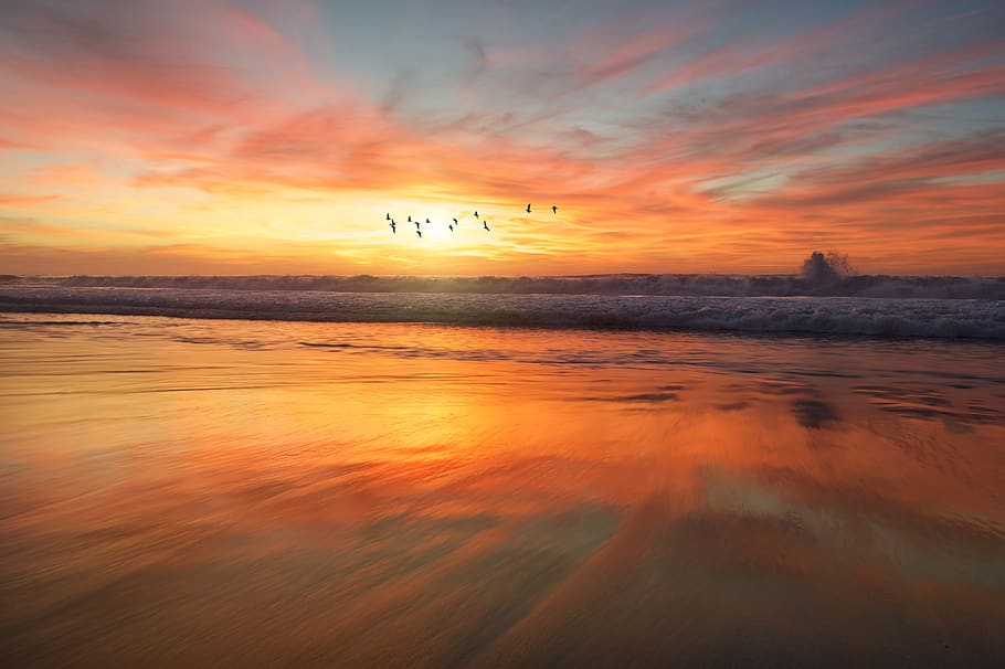 beach, sand, water, ocean, sea, waves, nature, orange, sky HD wallpaper