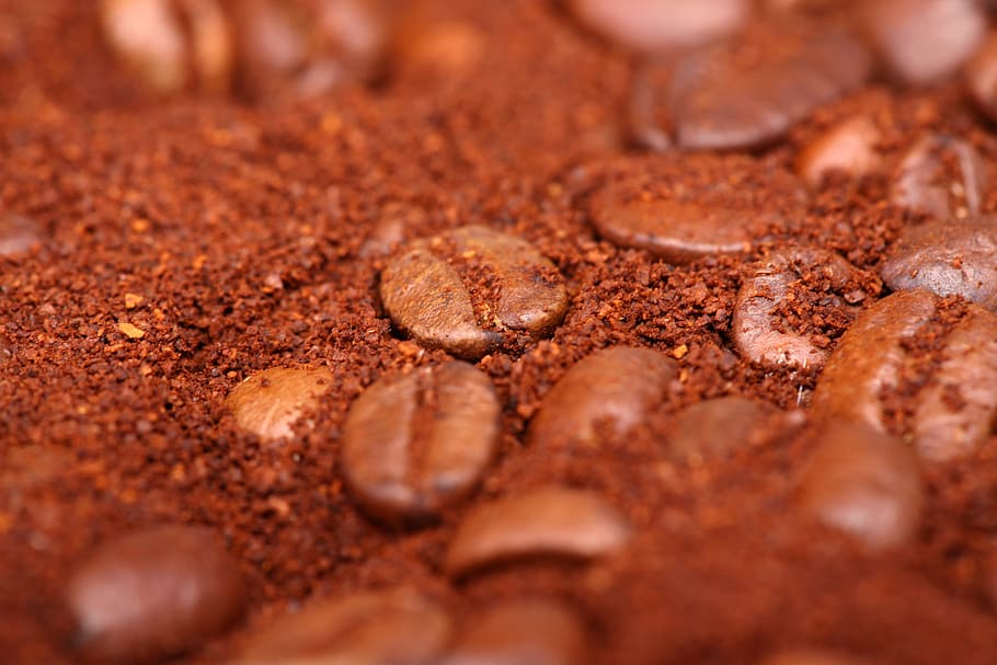 bean, background, macro, pattern, food, drink, dark, photography HD wallpaper